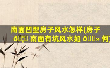 南面凹型房子风水怎样(房子 🦄 南面有坑风水如 🌻 何)